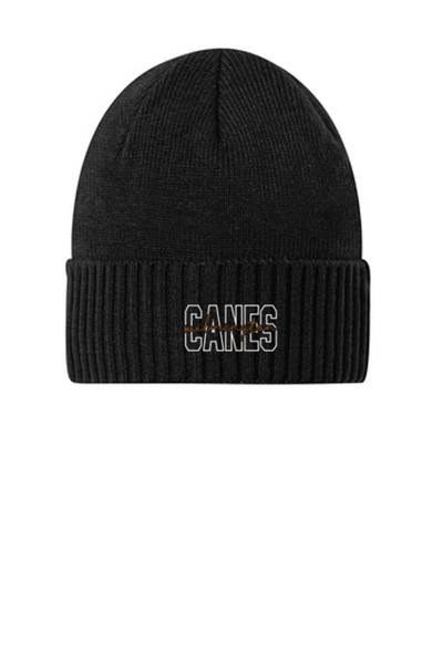 Beanie- WDP24