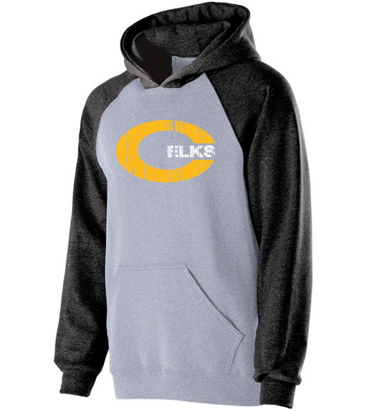 Two tone HOODIES - WLL23