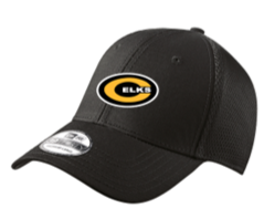 Stretch Mesh cap- LLAX25