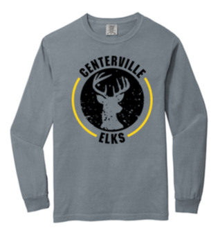 Comfort Color Adult Long sleeve Tee- TWR23