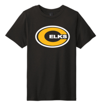 Adult Tri Blend Tees -PVS23