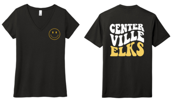Ladies V Neck Tee - PVS24