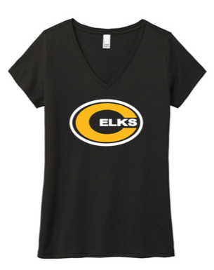 Ladies V Neck Tee - PVN23