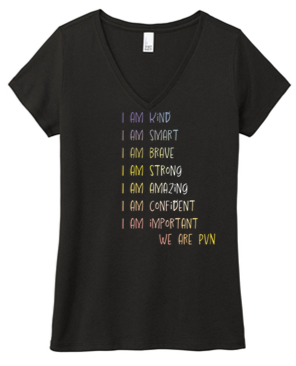 Ladies V Neck Tee - PVN23