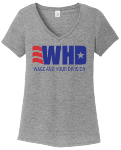 Ladies V Neck Tee - WHD24