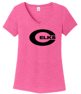 Ladies V Neck Tee - PVNS25