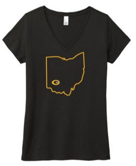 Ladies V Neck Tee - PVS24