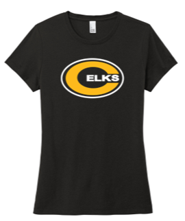 Ladies Crew neck tee-WTS23