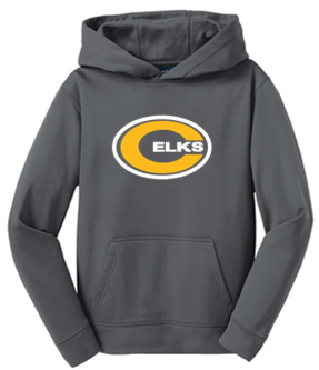 Youth & Adult Dri Fit Hoodie - DRS23