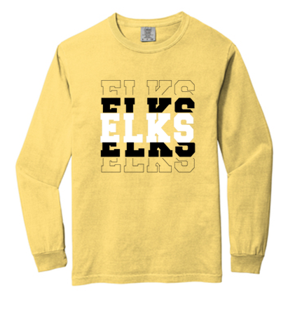 Comfort Color Adult Long sleeve Tee- WTS23