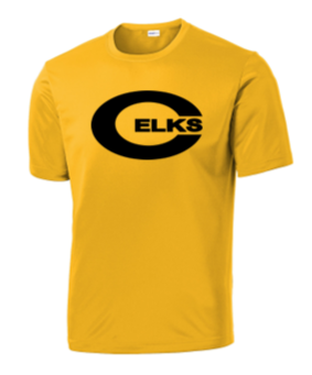 Youth & Adult Dri fit Tee -WLL23