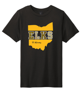 Toddler &  Youth Tee - PVNS25