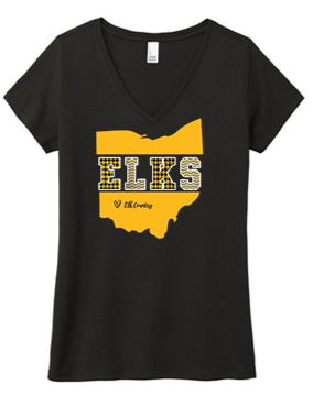 Ladies V Neck Tee - PVNS25