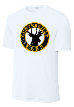 Adult Dri fit Tees - WTS24