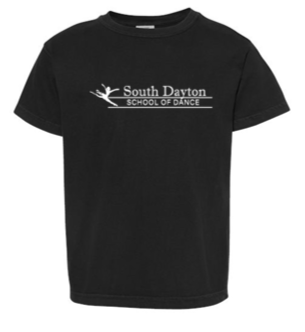 Adult Comfort Colors Heavyweight Ring Spun Tee Shirt - SDSD25