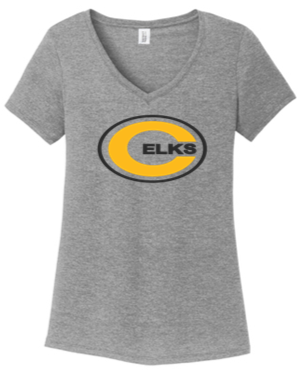 Ladies V Neck Tee - PVS24