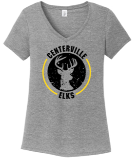 Ladies cut V-neck tri blend tee- TWR23