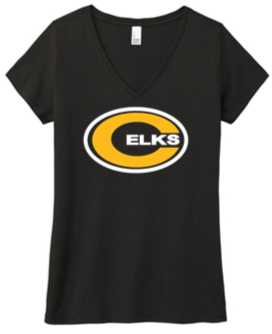 Ladies V Neck Tee - PVS24
