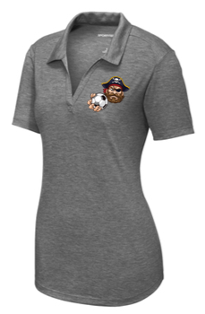 Tri-Blend Wicking Polo - WCS23