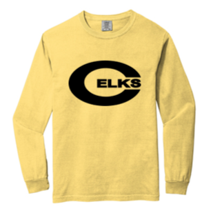 Comfort Color Adult Long sleeve Tee- LLAX25