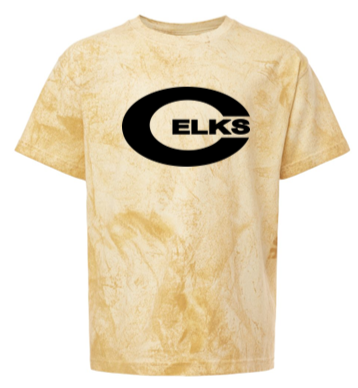 Youth/Adult Comfort Colors -  Color Blast Tee - PVNS25