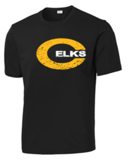 Youth & Adult Dri fit Tee -WLL23