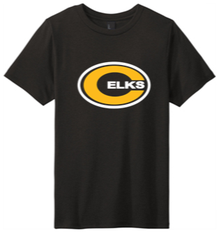 Adult Tri Blend Tee - PVNS25