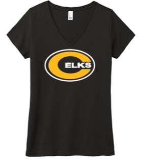 Ladies cut V-neck tri blend tee- TWR23