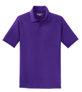 Dry Zone Raglan Accent Polo - VACARE23