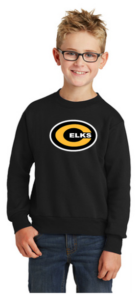 Youth & Adult Crew neck sweatshirt - CJB23