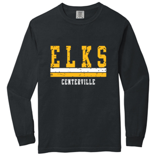 Comfort Color Adult Long sleeve Tee- WTS23