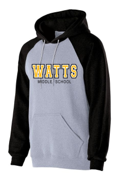 Two tone HOODIES - WTS23
