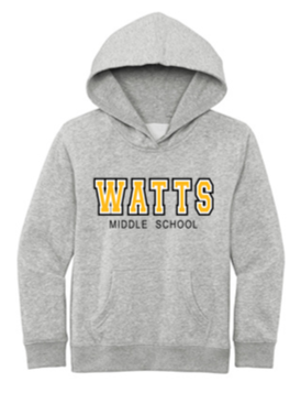 Youth Hoodies - WTS23