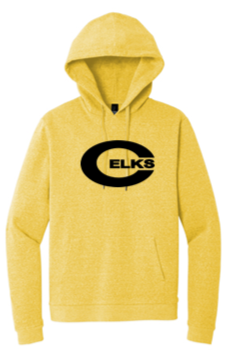 Adult Hoodies - TWR23