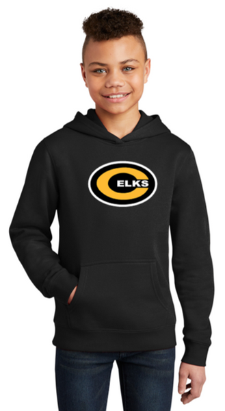 Youth & Adult Hoodie - CJB24
