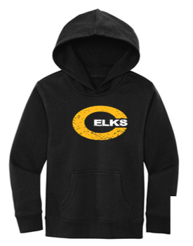 Youth Hoodie- TWR23