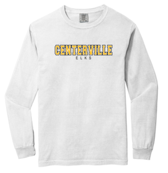 Comfort Color Adult Long sleeve Tee- WTS23