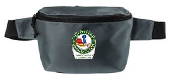 Hip/cross body bag- GCDC25
