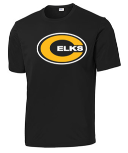 Youth & Adult Dri fit Tee -TWR23