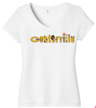 Ladies V Neck Tee - PVNS25