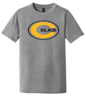 Adult Tri Blend Tee - PVNS25