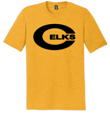 Adult Tri Blend Tees -PVS23