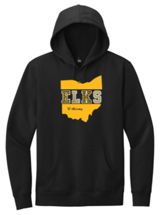 Youth & Adult Hoodie - PVNS25