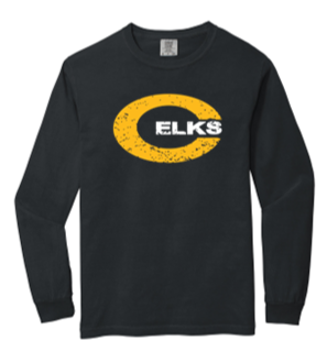 Comfort Color Adult Long sleeve Tee- TWR23