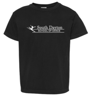 Youth Comfort Colors Heavyweight Ring Spun Tee - SDSD25