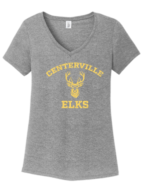 Ladies V Neck Tee - PVS24