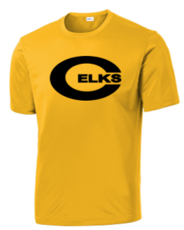 Youth & Adult Dri Fit Tee - PVNS25