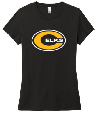 Ladies Tri blend Tee - SPED24