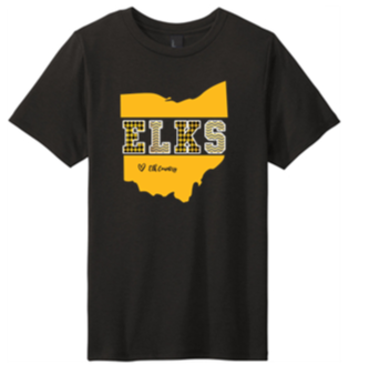 Adult Tri Blend Tee - PVNS25