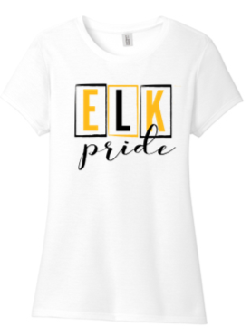 Ladies Cut Tri Blend Tee -TWR23